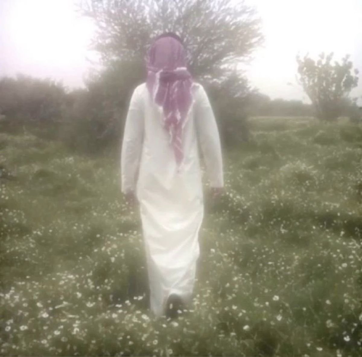 Alaa | الاء tweet media