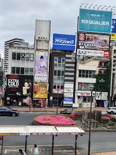 tochi_7899's tweet photo. 栃木民はここ何駅前かわかりますか？ https://t.co/3MCIRvmINK
