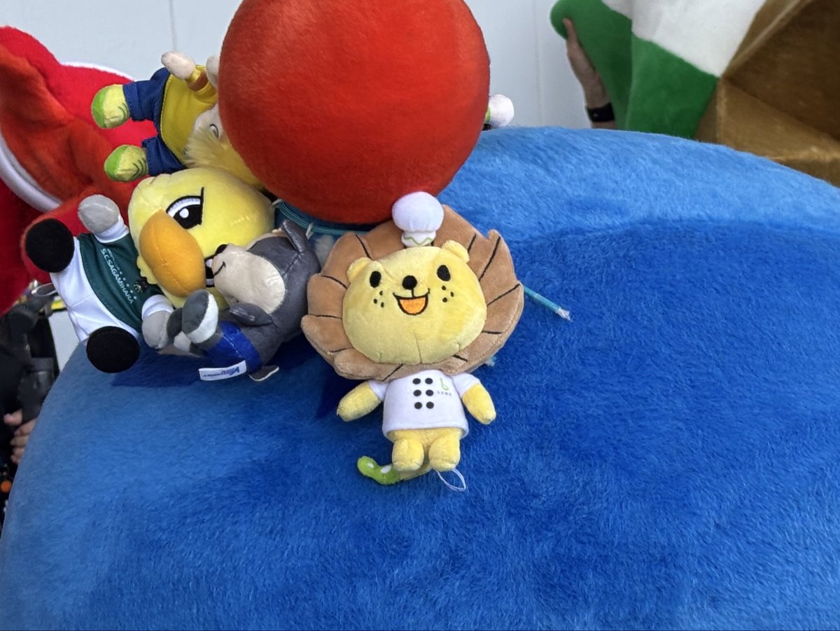 hoshizo_0123's tweet photo. マスコットパレードで何とか撮れた皆さま

・フリ丸

れおっくんもオールスターに連れてくる、友達思いの宇宙人でっす(● ˃̶͈̀ロ˂̶͈́)੭ꠥ⁾⁾ https://t.co/xtmI41VLTe