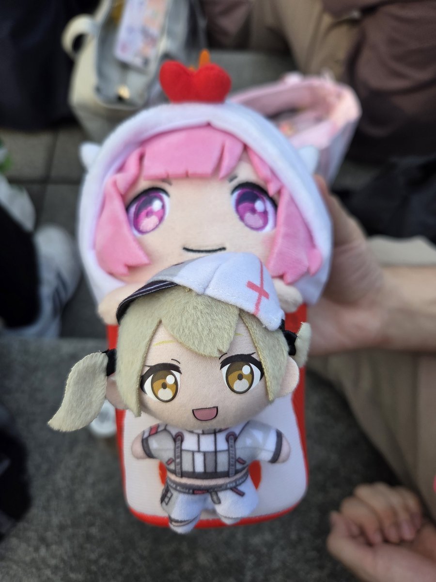 Fran_E233_'s tweet photo. 急遽FFさんに誘われてセカシン現地チラッと参戦してきた～

(会社の行事があったけどなぜかぬいのみ持ち運ぶというw) https://t.co/3iAe6PpCOo