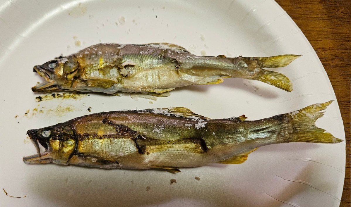 鮎の塩焼き