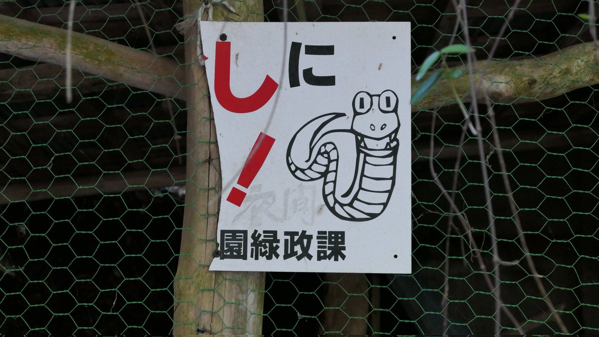 RIHI_ewokakune's tweet photo. 死に❗の看板があって大変よかった https://t.co/jIk7AjeADr