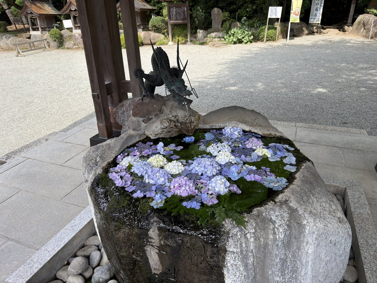 urufun555's tweet photo. 秦野にある出雲大社相模分祀に行って来た。今なら紫陽花の御朱印が貰える https://t.co/TdLNyIOgII