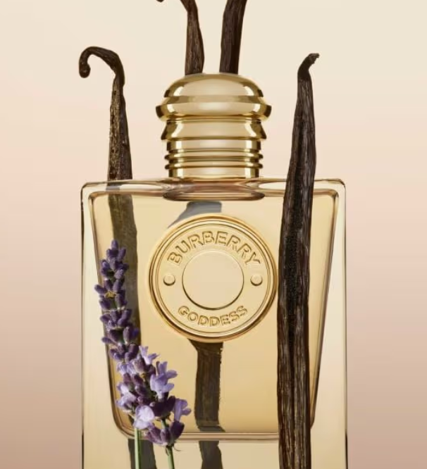 TEYA_Wu's tweet photo. Burberry Goddess EDP
50 ml 3350 บาท 

ปิดรับ 15 June 10 โมงเช้า 🍬 
ได้ของ July  🐢 

DM หรือ เมนชั่นให้ DM ไปหาเพื่อถามได้เลยคับ 
#เทย่ารับพรี  #พรีออเดอร์ https://t.co/FcKwCXWB6B