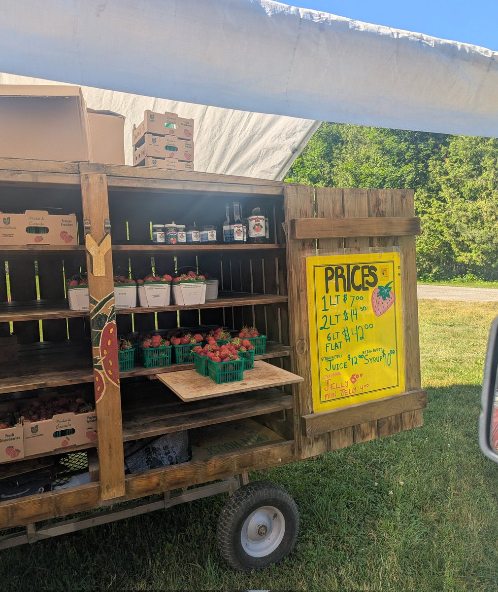 SuddenlyandU's tweet photo. You can keep your fast-food and coffee drive-thrus, in Norfolk County we have Judd's Strawberry Drive- thru. It's Berry Season! https://t.co/PXGYTRwxDA