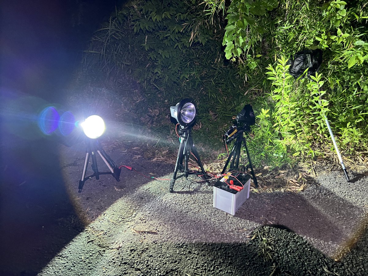 GRANDLINE2019's tweet photo. ライトアップ！ https://t.co/fQOjI95Frv