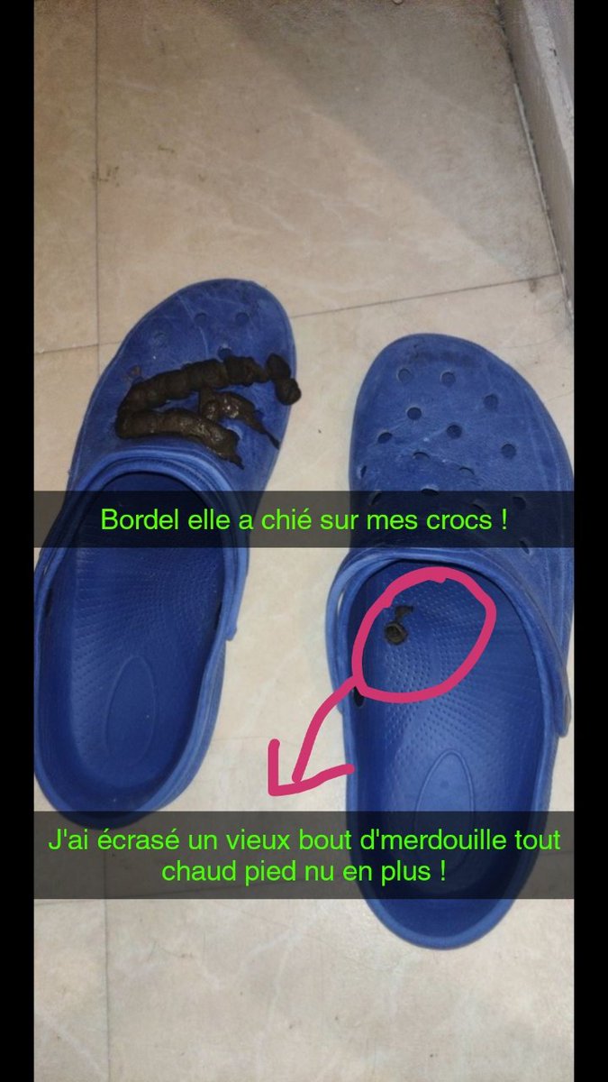 liams_drz's tweet photo. Adieu ma p'tite chérie merci de m'avoir fait grandir, m'avoir donné le sens des responsabilités. On s'est bien amusés ensemble. Je t'ai donné tout ce que j'ai pu maintenant tu peux dormir tranquillement. Ce foutu cancer ne te fera plus souffrir.

Bibou : Août 2013-Juin 2026 🤍 https://t.co/Hlo4jnY7IH