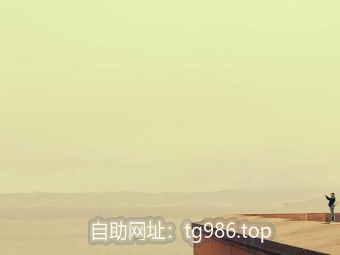 nuri_ada40656's tweet photo. 苹果下载telegram
电报中文安装包
电报老号 国内手机号无法收到验证码
纸飞机账号
电报收不到验证码 电报教程 https://t.co/b3z05NC1kv