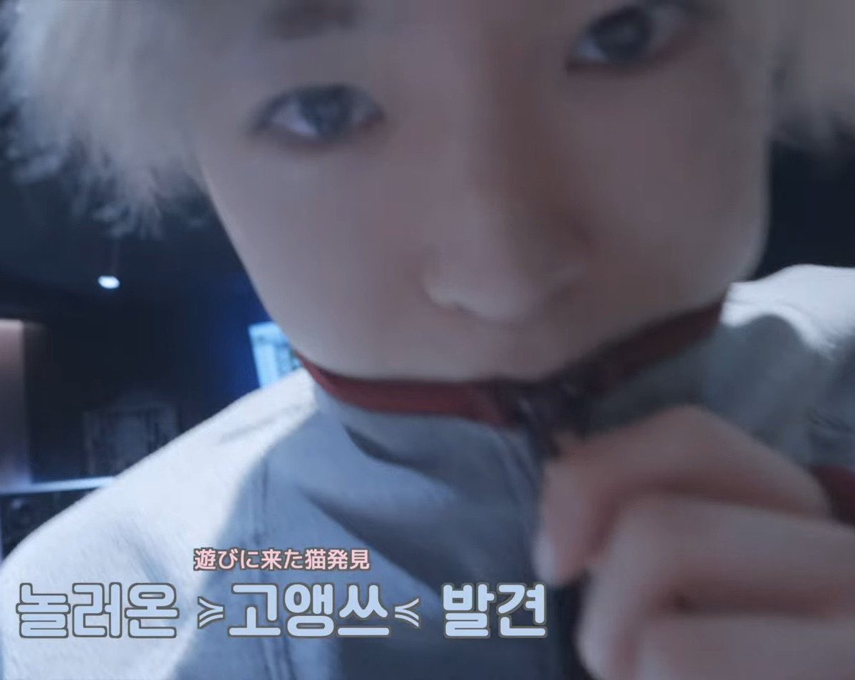 루쿠 tweet media