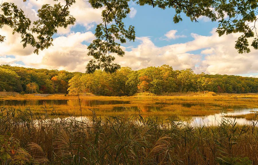 campyphotos's tweet photo. Fall in the Marshland by Marianne Campolongo https://t.co/ixVaVndoTK
@fineartamerica #BuyIntoArt #autumn #fallcolor #RockyNeck #wallart #homedecor #happiness #Connecticut #Niantic https://t.co/YfbgCrPWhv