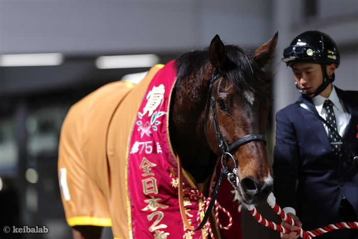 keibalab's tweet photo. 【無数の愛をくれたあなたに】
本日6月14日は全日本2歳優駿を勝った快速馬ミリアッドラヴの命日です。亡くなって早くも1年が経ちました。
#ミリアッドラヴ 
https://t.co/3Xmqapofyw https://t.co/NVW2GXII2P