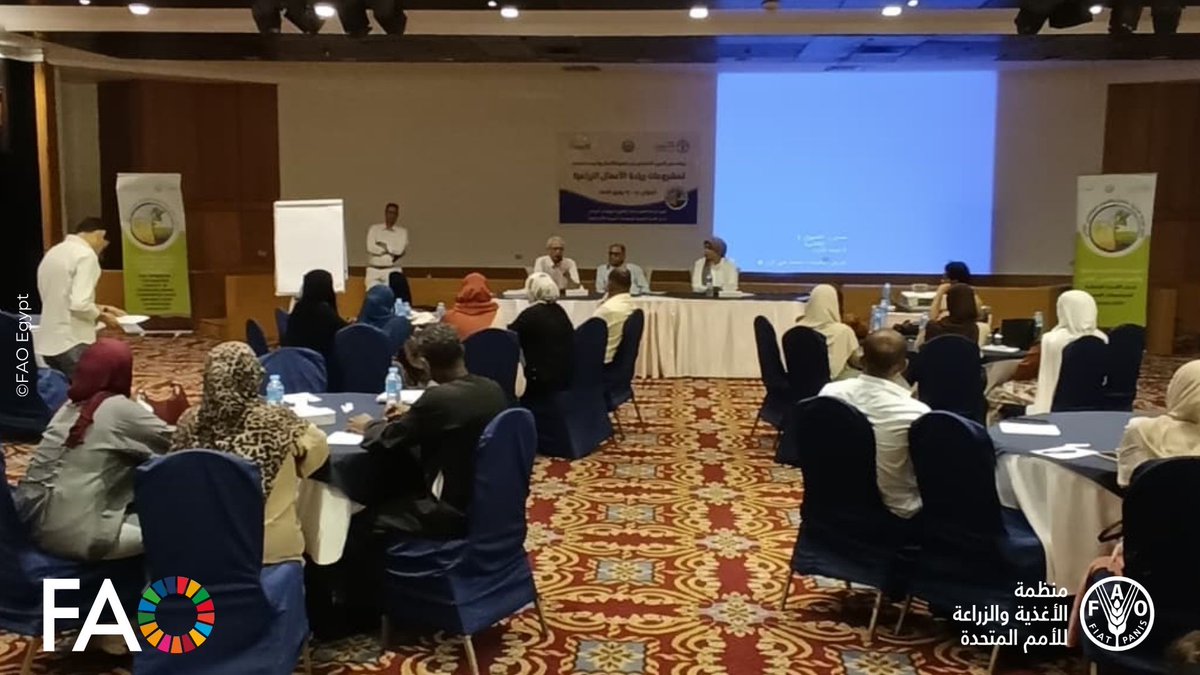 FAOEgypt's tweet photo. نظّمت@FAO🤝مع@agricultureagr برنامجًا تدريبيًا في ريادة الأعمال الزراعية بـ #اسوان، لدعم إنشاء مشروعات زراعية مبتكرة وتحويلها إلى فرص تعزز سلاسل القيمة والتكيف مع التغيرات المناخية بمشاركة 51 شابة وشاب، ضمن أنشطة مشروع تعزيز الزراعة الذكية مناخيًا والتنوع البيولوجي💰 @CanEmbEgypt https://t.co/WFpRSM3vFK