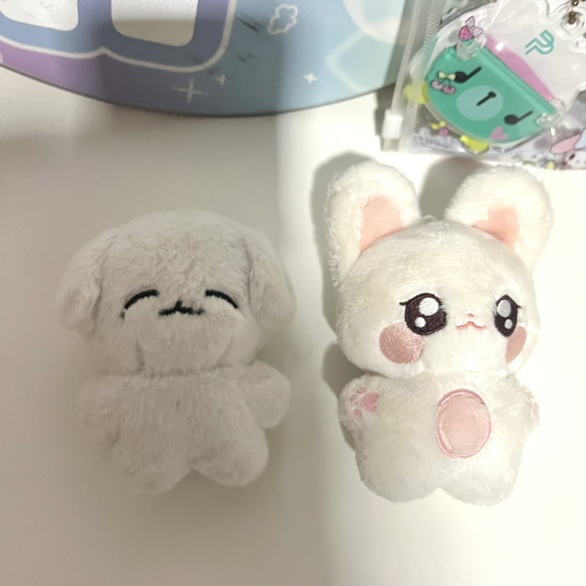 najenelee's tweet photo. ♡ wts/ขาย พร้อมส่ง 
☁️ ตุ๊กตาเจโน่ โย่อิท yoit /  แจมิน ( จำไม่ได้ )
☁️ 2 ตัว ✌🏻 350 ฿ รวมส่ง 🎀
* สภาพแอบมอมแมมเพราะไม่กล้าอาบน้ำให้ ㅠㅠ * 
( ขอดูเพิ่มเติมได้ค่า ) 🫶🏻

#ตลาดนัดnct #ตลาดนัดnctdream #yoitjen #ตุ๊กตาnct #ตลาดนัดอซท https://t.co/A62BO6vYDb