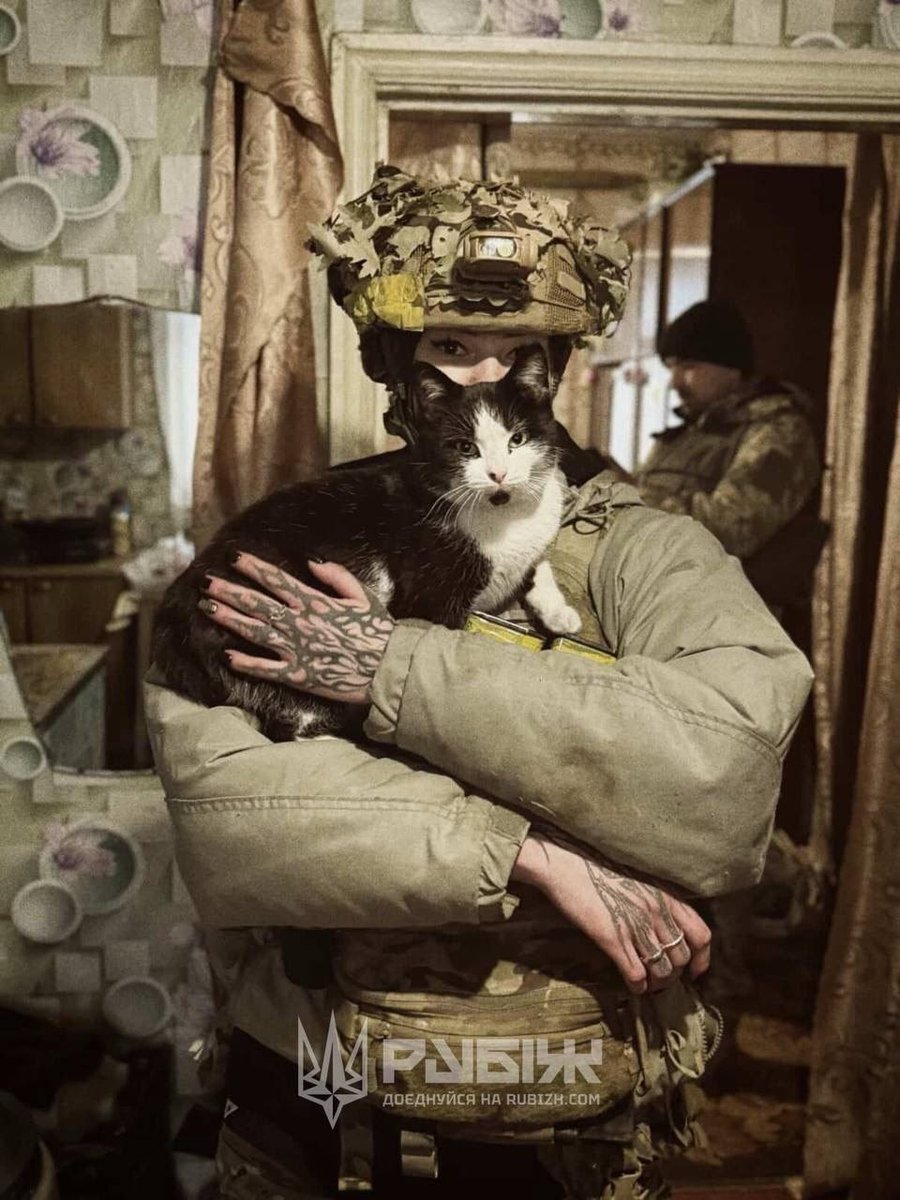RubizhBrigade's tweet photo. Once beloved pets and family members - now left to survive on their own. All because of #ru invasion.

But these animals need not to fear in our sector. For none of them who show up to our position leave unloved or hungry. 

Would you like to see more of our #dogs and #cats in your feed?