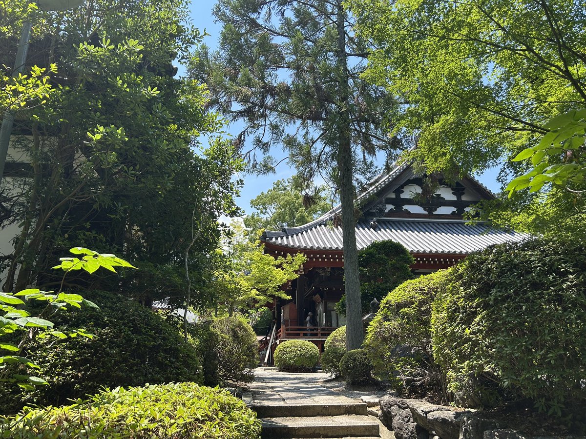 Junkichi_58's tweet photo. 週末は，紫陽花を見に橿原神宮近くの久米寺へ。
人も少なくて，ゆっくりできました。
明日香にも行こうと思ったけど，混雑で断念。ICOMOSの登録勧告の影響ってすごい。 https://t.co/wkAZ1ov7Sg