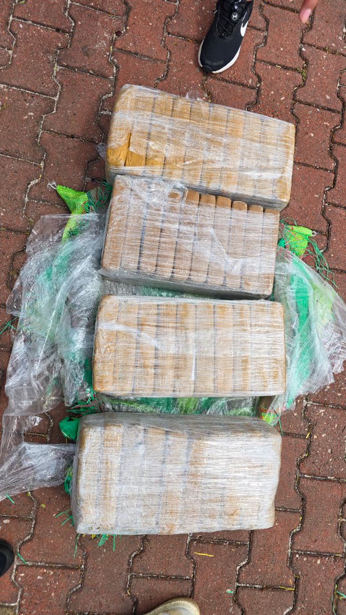 JohnReimberg's tweet photo. DECOMISADAS 1,4 TONELADAS DE COCAÍNA EN GALÁPAGOS

En una operación conjunta entre la Policía Nacional y la Armada del Ecuador, se decomisaron 1.478,7 kilogramos de clorhidrato de cocaína en aguas jurisdiccionales de Galápagos.

La droga, distribuida en 32 bultos con distintos logotipos, habría sido transportada mediante rutas marítimas utilizadas por organizaciones criminales para enviar cargamentos desde las costas ecuatorianas hacia Estados Unidos, realizando enlaces y trasbordos en altamar.

La afectación económica a las estructuras delictivas se estima en aproximadamente 90 millones de dólares en el mercado internacional.

Indicios:

1.478,7 kg de clorhidrato de cocaína
1 dispositivo electrónico

El procedimiento se realizó en Puerto Baquerizo Moreno, provincia de Galápagos.
Seguimos trabajando