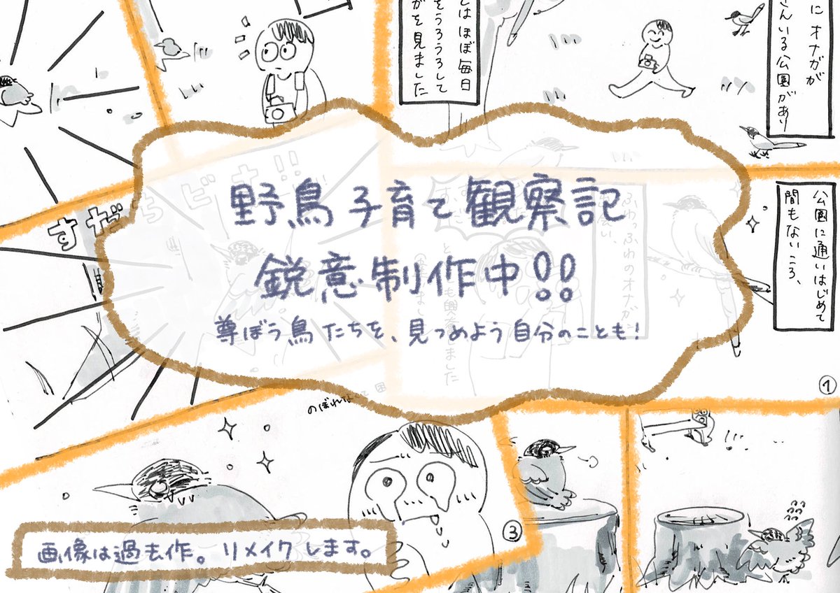 decop_WC's tweet photo. 7/19,20 #博物ふぇす 
B65

ガクタメは、『鳥の子育てって尊いナァ！』です。
鳥のかわいくておもしれー行動やうっかり邪魔してしまい大後悔した失敗談をしたためたようと思ってます。
本作るのほんと大変なのですが()作りたいので頑張ります。

のとりやも薄い本作るって！楽しみだねみんな https://t.co/rLLe4lPKf0