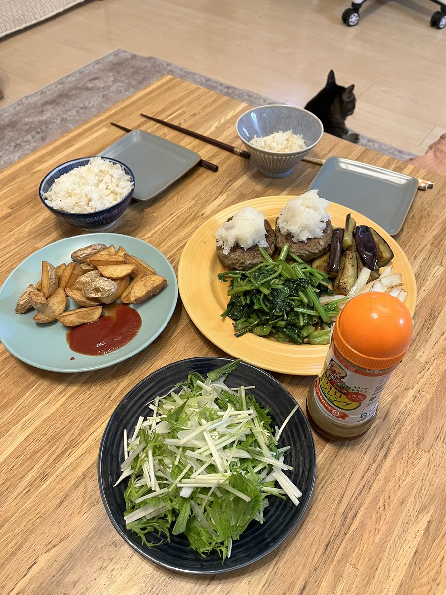 jamjam023023's tweet photo. ママ会不在の為二人飯👨‍🦱👧
おろしハンバーグ定食 https://t.co/SqDQDJ1cKO
