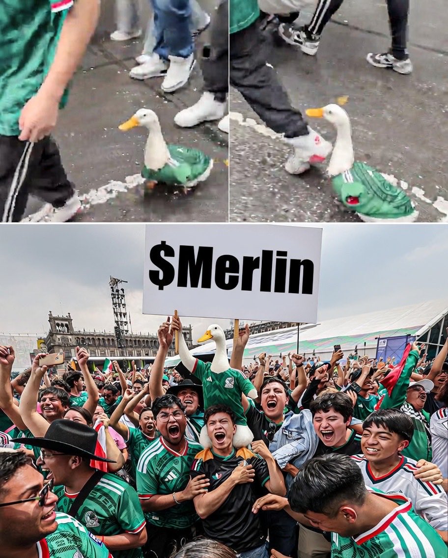 Coin_Sniff3r's tweet photo. @dammiedammie35 The cutest world cup fan Merlin! https://t.co/3U1bm0180U
