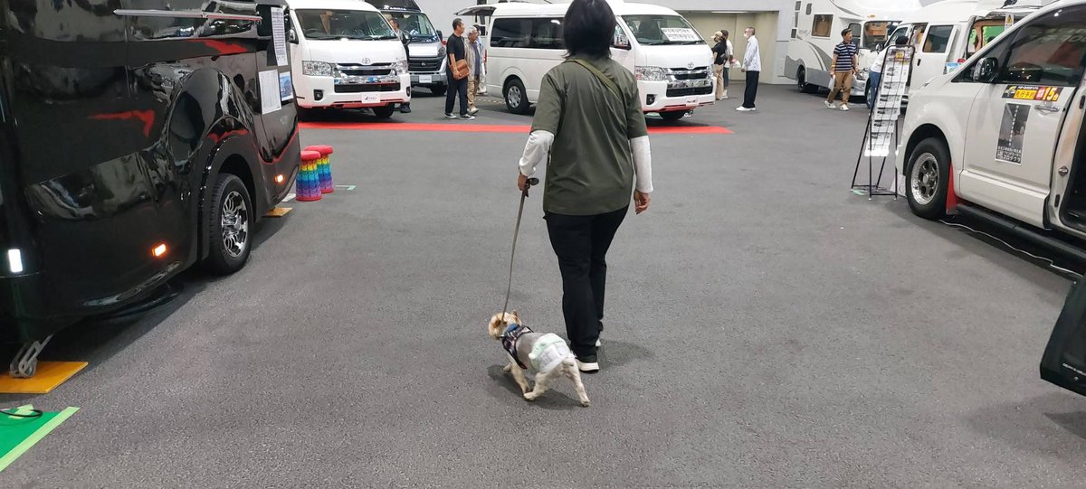 miroro44mg's tweet photo. 今日は静岡ツインメッセで開催中のふじのくにキャンピングカーショーに行ってきました。夢が膨らみますね。その足で久しぶりにカレーうどん鍾壱さんへ。久しぶりだったけど美味しかった！！
#ふじのくにCAMPINGOUTDOORSHOW
#鍾壱 https://t.co/8vUKpriYpn