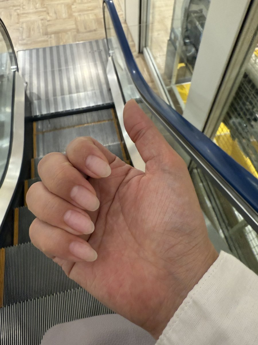 エリーさん🍣✦🧷@派手髪の社畜 tweet media