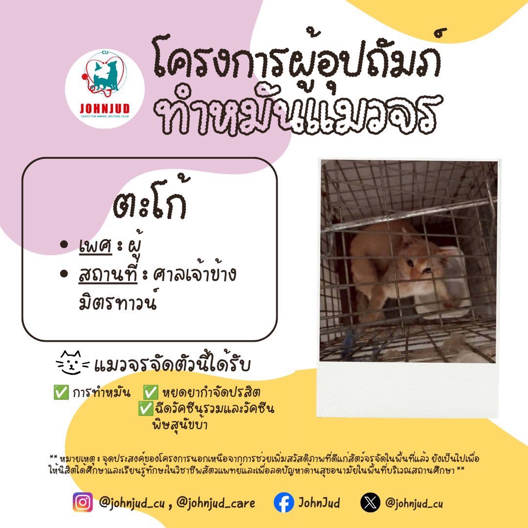 johnjud_cu's tweet photo. 9. เม่ยเม่ย เพศเมีย สยาม
10. ตะโก้ เพศผู้ ศาลเจ้าข้างมิตรทาวน์
11. สีสวาท เพศเมีย ศาลเจ้าข้างมิตรทาวน์
12. ตังค์ เพศผู้ ศาลเจ้าข้างมิตรทาวน์ https://t.co/NrUriQRM1B
