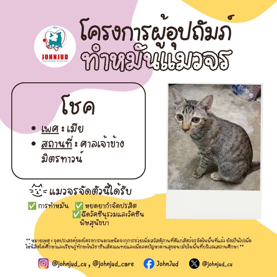 johnjud_cu's tweet photo. 13. โชค เพศเมีย ศาลเจ้าข้างมิตรทาวน์
14. ธีโอ เพศผู้ คณะอักษรศาสตร์
15. ถั่วพู เพศเมีย หอใน
16. ดำขาว เพศเมีย สวนหลวง https://t.co/w4xWBIBEvg