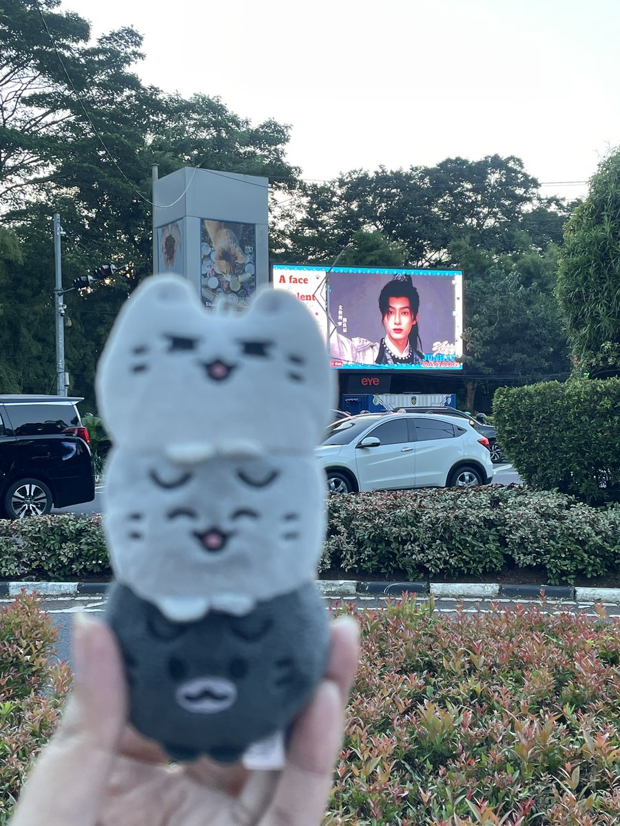 jun (moles) lovers tweet media