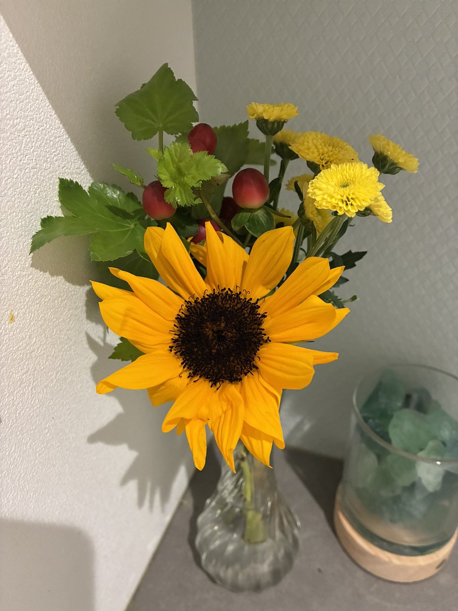 りりのすけ (@riri_taiyaki) / Posts / X
