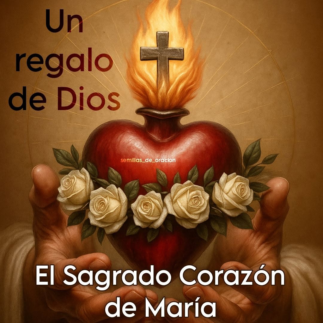 Semillasoracion's tweet photo. Dios nos ama tanto que nos regalo el Sagrado Corazón de María nuestra Madre... Ella nos ayudará a permanecer fieles a Jesús.

#semillasdeoracion #jesusymaria #maria #sagradocorazon #rosario #jesusenticonfio #sabado #amor #corazon #promesa #rosario https://t.co/FroKgDiSom