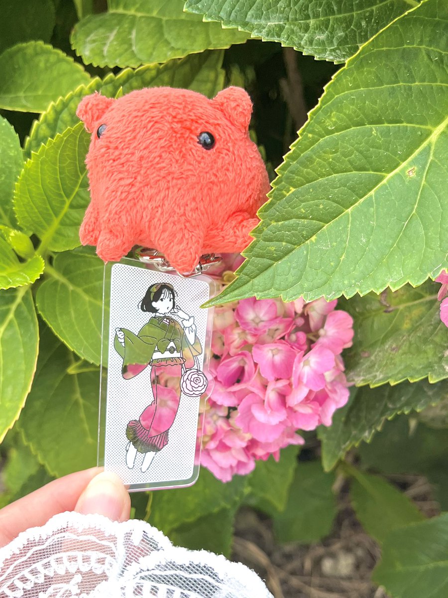 FpXbx's tweet photo. なんか変な面白技見つけちゃったんだけど、めんだこちゃん中に磁石入ってるからナスカンにくっつくんだよね
ただしちょっとバランス崩れると首（？）が座らない
#お散歩ちゃん https://t.co/UhAtKAHrMS