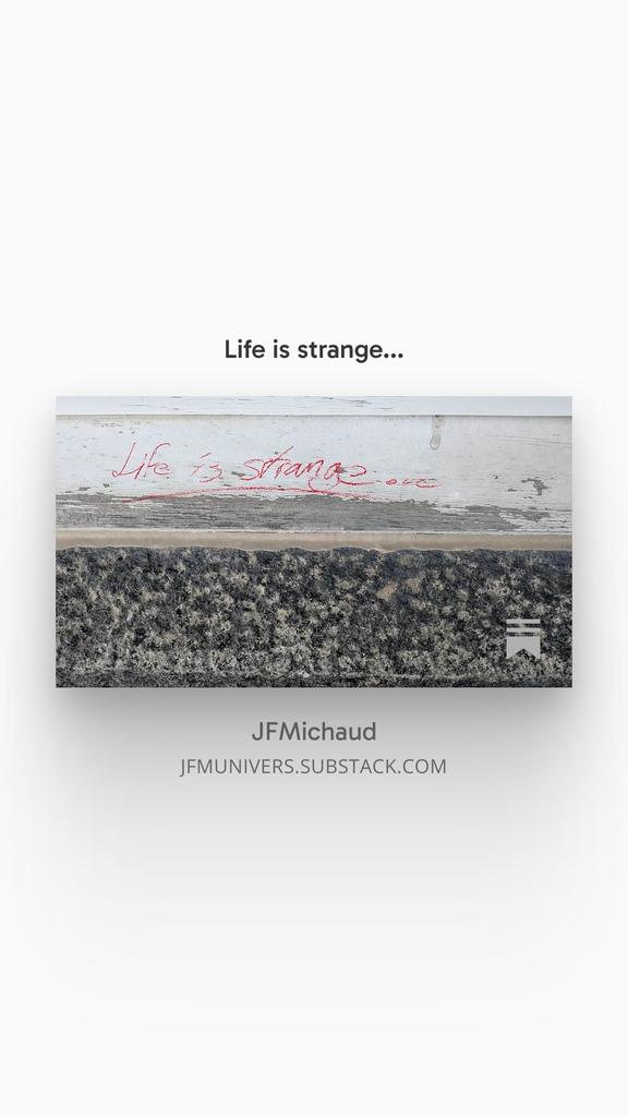 JFMichaud's tweet photo. Life is strange...

https://t.co/RVMxv99Pqa https://t.co/9OKLXHJsoC