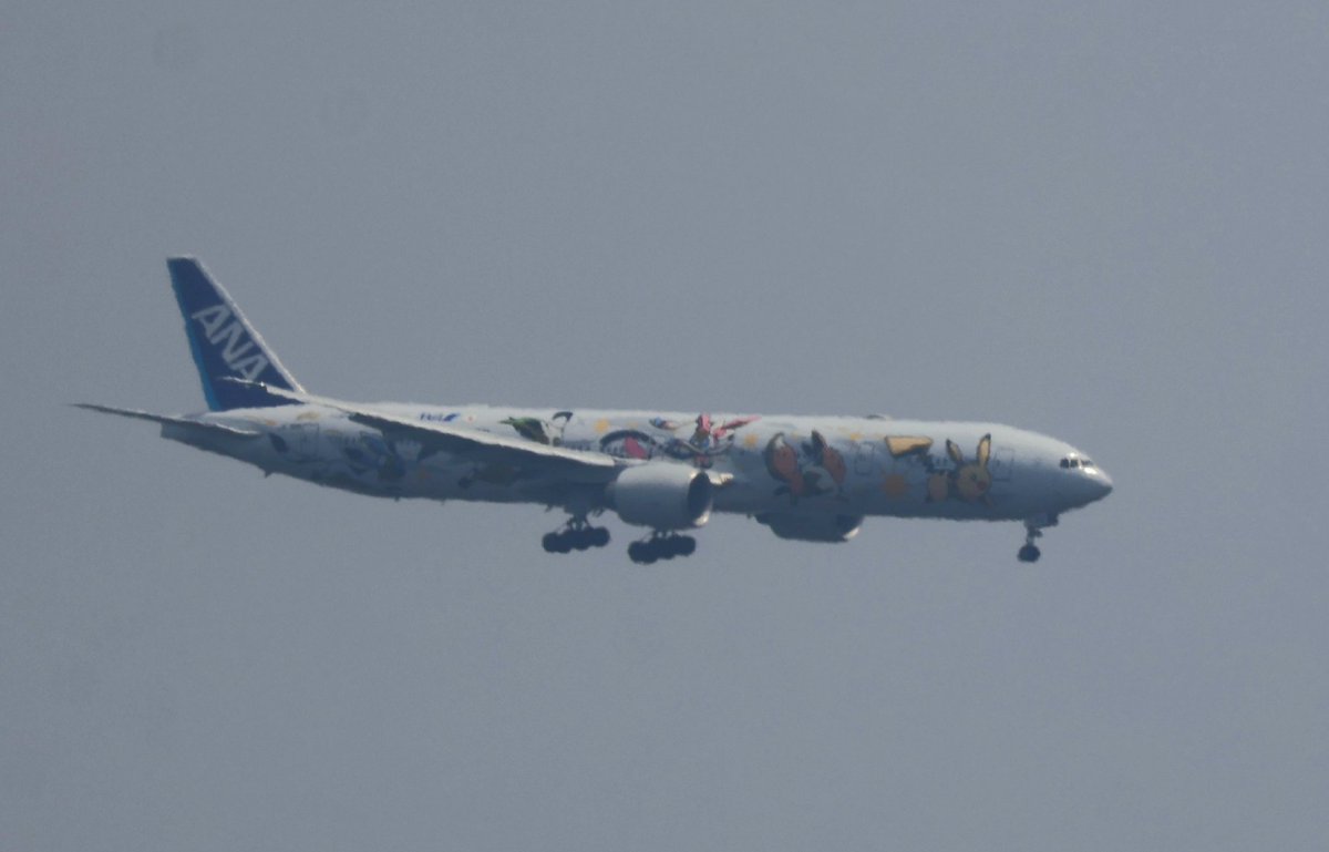 JOYellow222's tweet photo. 2026.6.13(土)NH109(JFK→HND)11:52着 JA784A(Pokémon Livery) Boeing777-381(ER) また早苗ちゃんに会えないイーブイちゃんでした😭
#イーブイジェット
#ポケモンジェット https://t.co/0u2hi7td4I