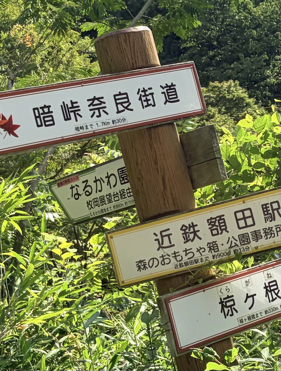 jp_plan's tweet photo. 良いお天気☀️なので。歩いてみました。
まさかの迷子であの⁉️暗峠を歩くことに😱ノープランハイキング。楽しかったです🙌
#暗峠
#あじさい https://t.co/4beu55q6bQ