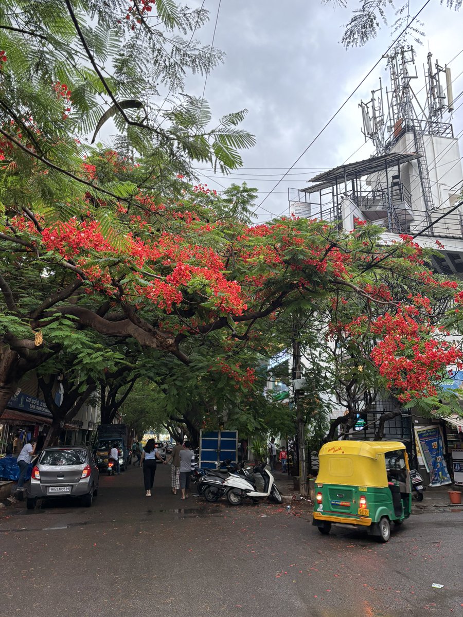 niketrajdwivedi's tweet photo. 📍 Indiranagar post rain is pure love ❤️ https://t.co/HcWRdZQlvG