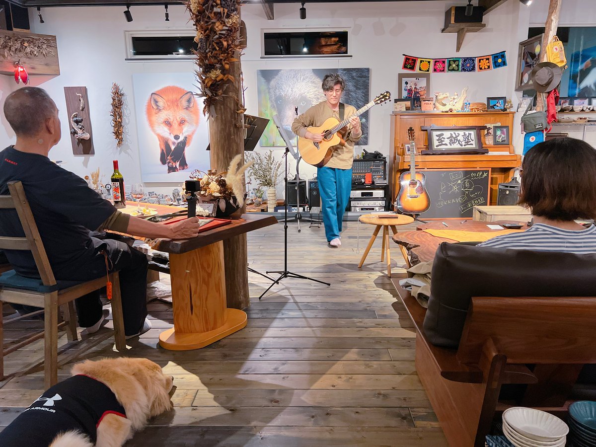 Dipper1114's tweet photo. ヒッコリーウィンドLive⭐️

ディッパーも聴いてる🎻🎸🌙 https://t.co/NfyrHBO2Sq