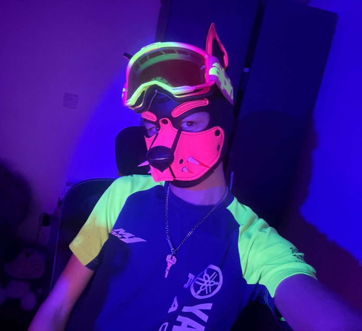 Pup_Pluto_'s tweet photo. You have stumbled upon a legendary status shiny puppy, what do you do?

1) tame and keep?
2) leave?
3) try and catch with a Pokèball? https://t.co/rUZGwyMydu
