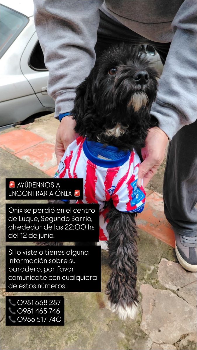 silgim232's tweet photo. Por favor si me ayudan a re postear  @christianchena @ABCDigital @GloriaRubin7 @aisman6 @Bibilando @Hugobie @delpynews @Sofy_Alonzo @LuisBareiro https://t.co/RfDOcSsFSh