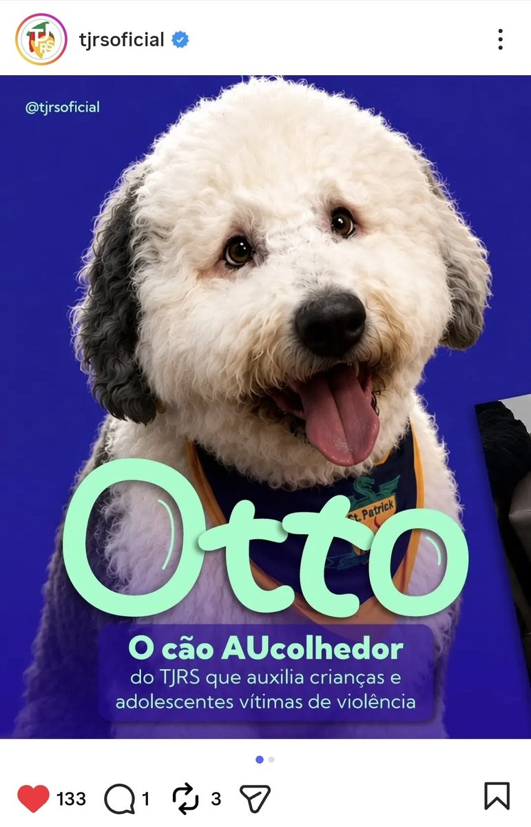 savanahmontt's tweet photo. Às vezes, é muito legal fazer parte do Judiciário. https://t.co/O5wsDgIlsY