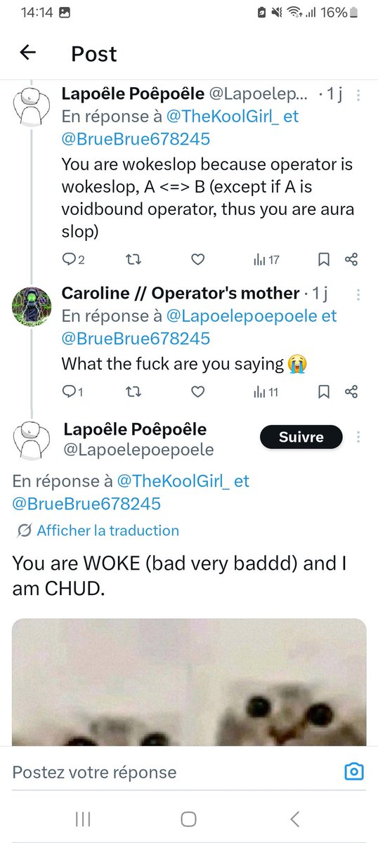 void Brute tweet media