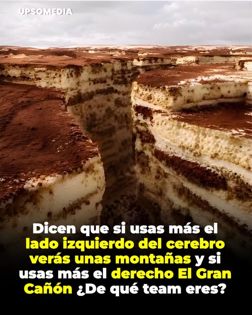 manmandangon's tweet photo. EL GRAN CAÑON DEL TIRAMISU https://t.co/8AK89IRRBc