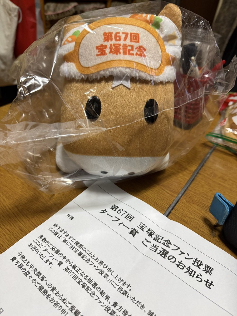 shockn55's tweet photo. とゆうわけで、宝塚記念ファン投票のターフィー賞のターフィーくんぬいぐるみが届いたー。
明日の宝塚記念、全人馬が無事にレースを終えますように… https://t.co/FBiAKqmHcd
