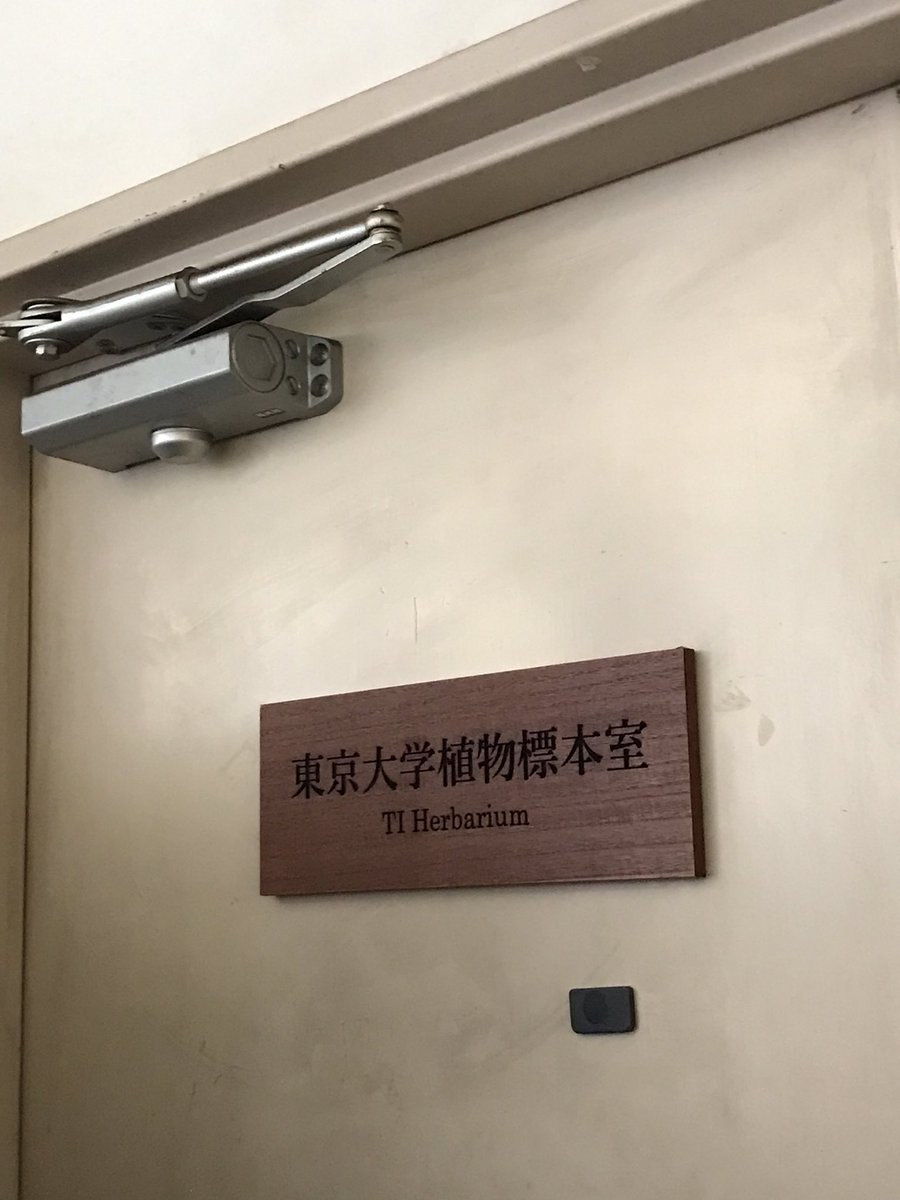 MistressNoohl's tweet photo. 東京大学植物標本室、凄かったです🌿 https://t.co/QdbtParcsg