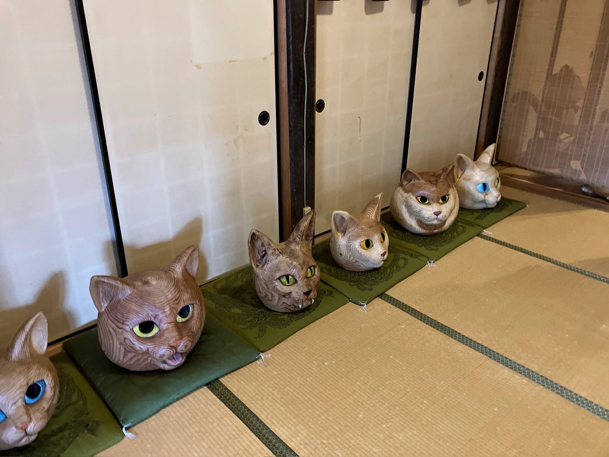 bell0412's tweet photo. 猫が有名な寺に来てみた
正直、なんか怖い！ https://t.co/w3tbqGWShM