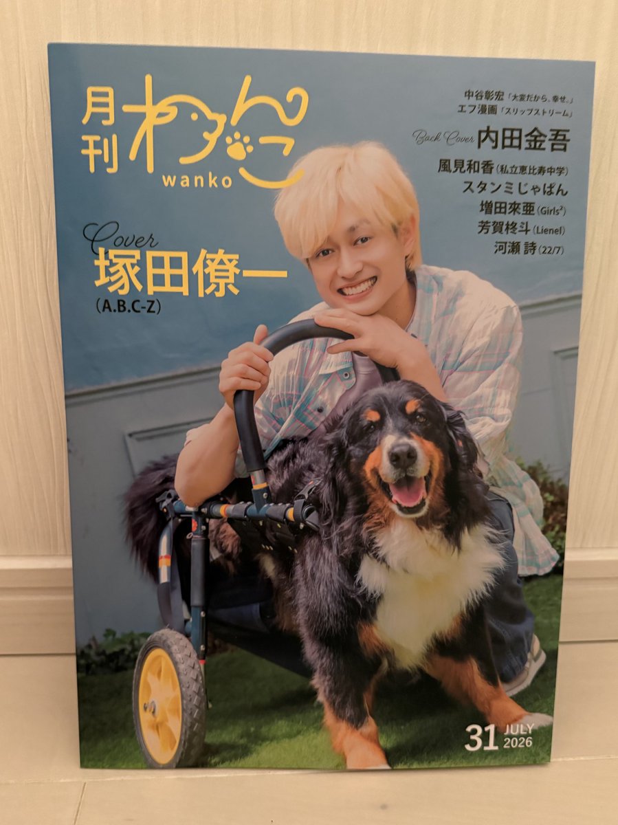ykooo018's tweet photo. 楽しみに待ってた月刊わんこ♡
即日配送ありがとうございます💞

ティアラも掲載されてて飼い主デレデレ🫢みんな可愛い〜🐶♡
#月刊わんこ 
@gekkan_wanko https://t.co/auBHPjhb5m