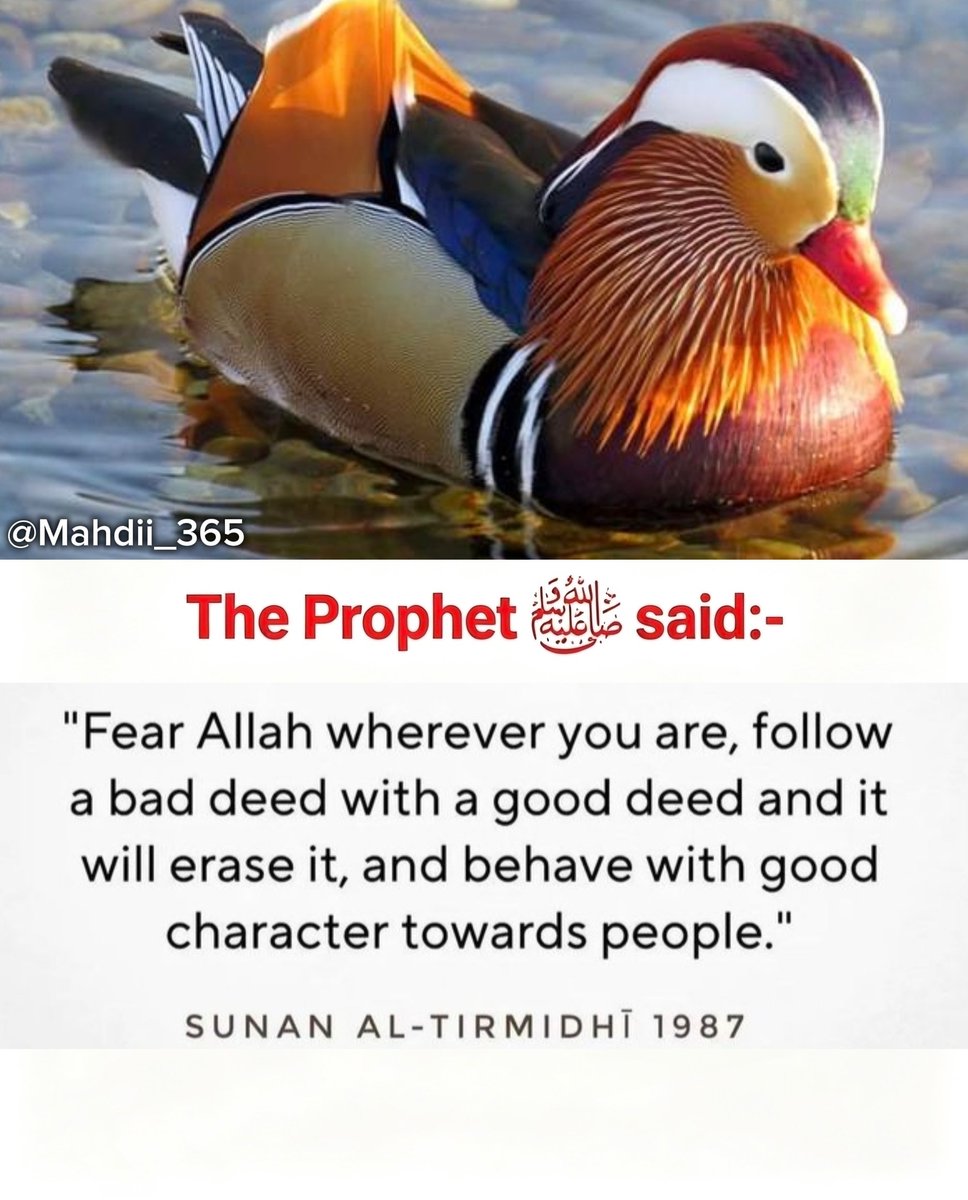 Mahdii_365's tweet photo. The Prophet (ﷺ) said: https://t.co/lx22IgsVsV