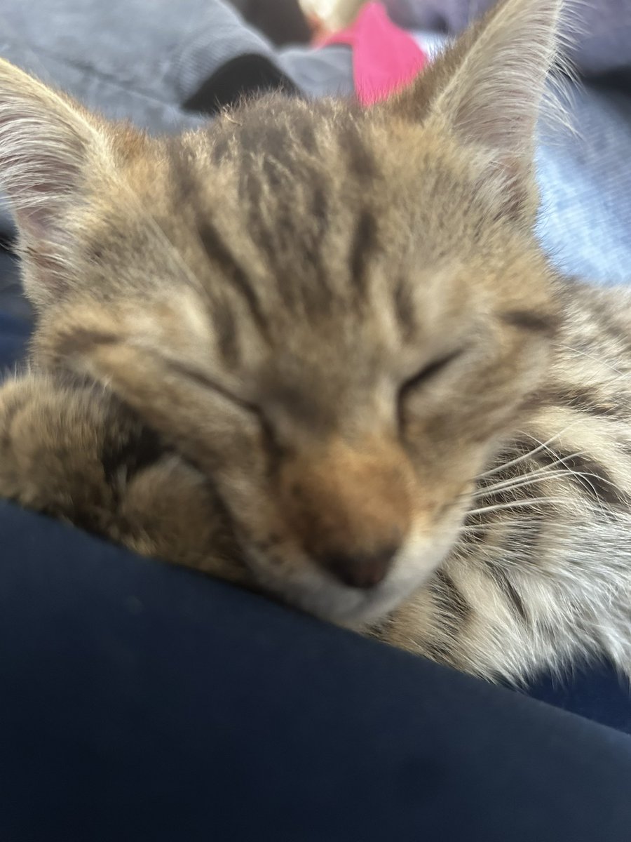 ambre_sohm4's tweet photo. mon enfant 
je meurs pour lui #maman https://t.co/68DlO9NSIm