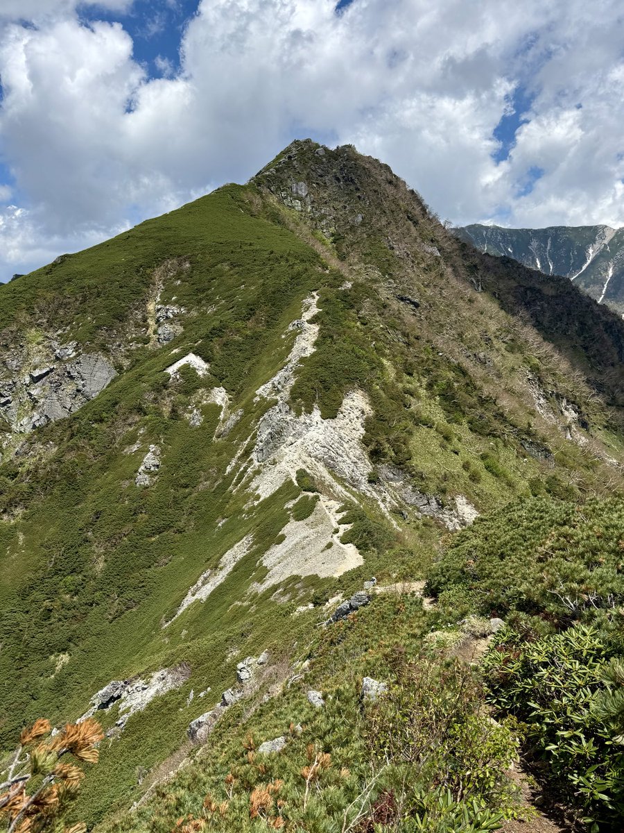 Snow_mark_'s tweet photo. 雲が多い1日でしたが、今日の晴れ間と稜線..風があって涼しかったです😄 https://t.co/12UGrgxbJH