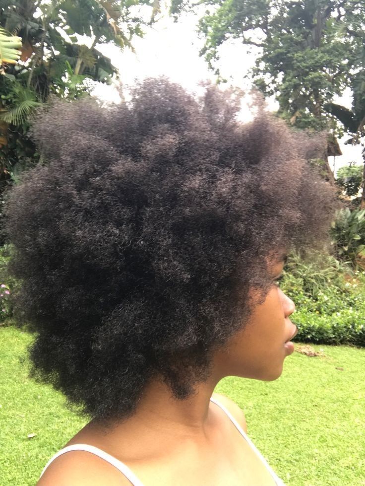 co0ncuc's tweet photo. will never understand natural hair hate cause it's so fairy coded 🧚‍♀️ https://t.co/tfkA9SkhB1
