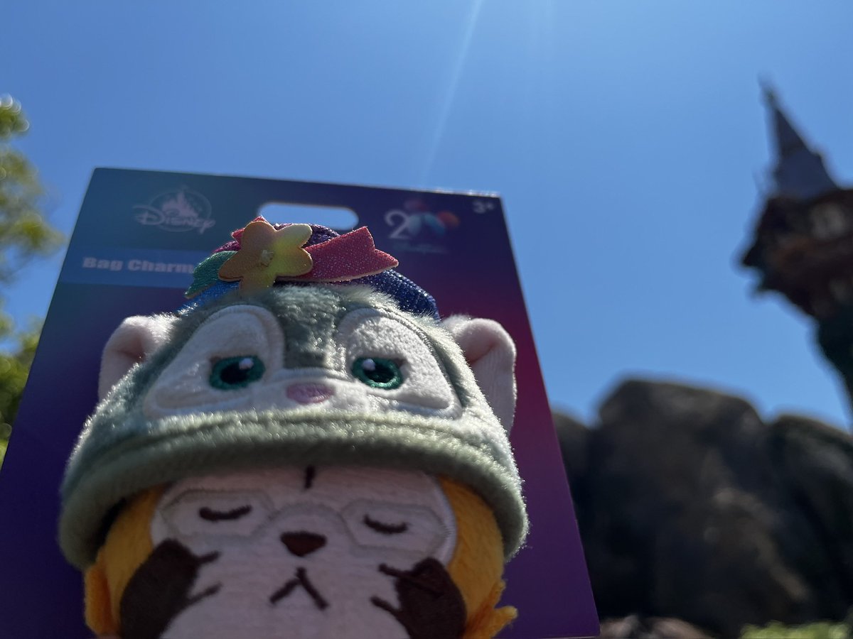 nopicklesnolife's tweet photo. ﾐｬ🐱✨✨彡 

香港からやってきたおともだち！

お土産にいただきました❣️氏もおおおお大喜び😆下書きに入ってた、この前インパした時のおしゃしんです。 https://t.co/zHxBChCxWn